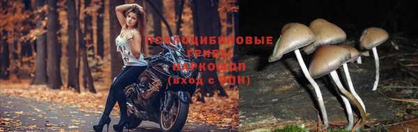 меф VHQ Аркадак